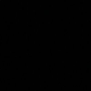 Meet your Posher, Carmen